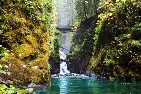 mary burke boobs|olympic national park washington